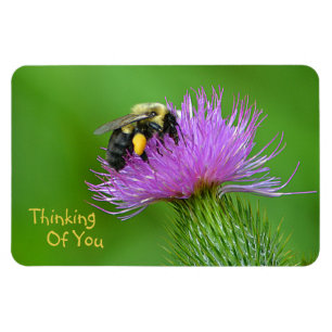 "Thinking Of You" Bee Magnet