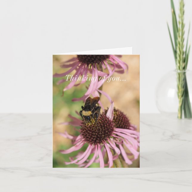 Thinking of you Bee On Black Eyed Susan Pano Card (Front)
