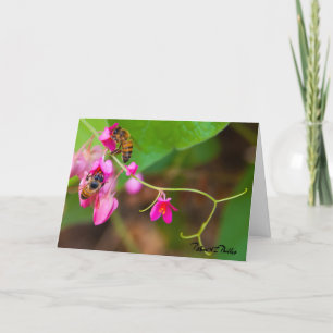 Thinking of You Bees Coral Vine Flowers Template