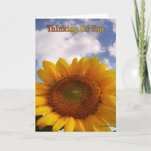 Thinking of you, big daisy card