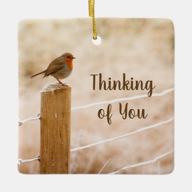 Thinking of You Bird on a Fence Post Ornament (Front)