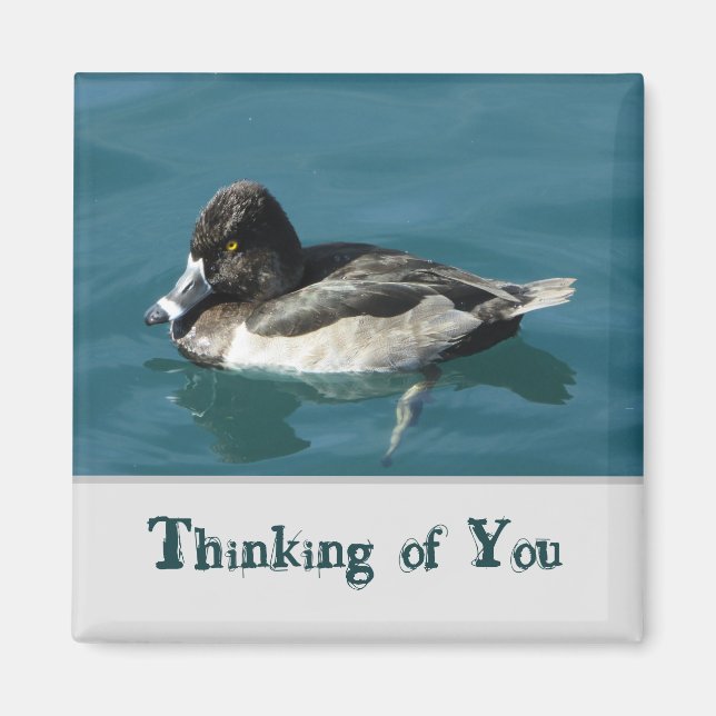 Thinking of You Black White Duck Lake Animal Magnet (Front)