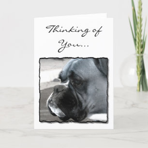Thinking of You Boxer dog greeting card