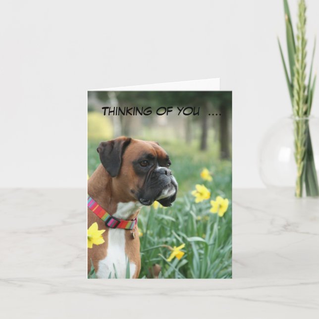 Thinking of you boxer dog greetings card (Front)