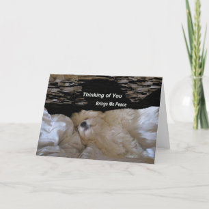 Thinking Of You Brings Me Peace Greeting Card
