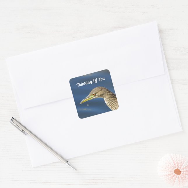 Thinking Of You Brown Bird Long Distance Friends Square Sticker (Envelope)