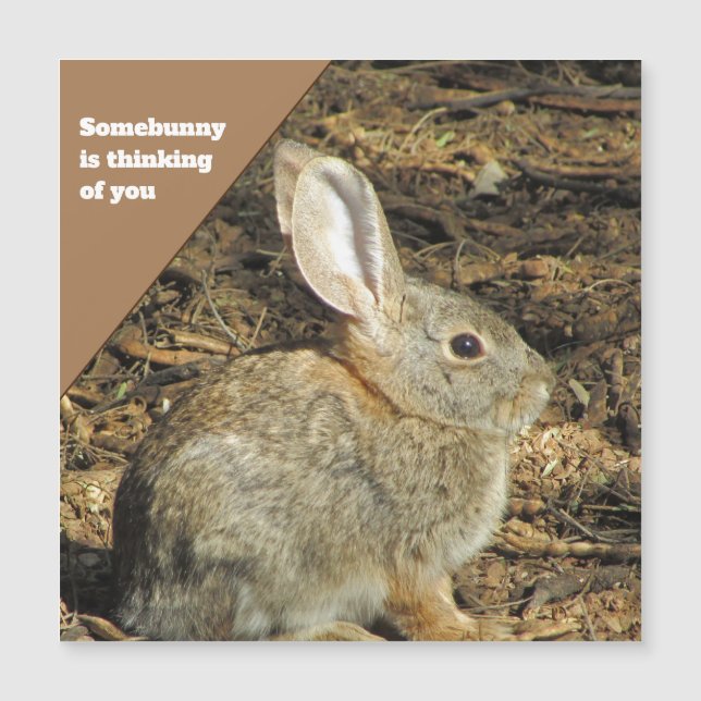 Thinking of You Brown Bunny Photo Nature Animal (Front)
