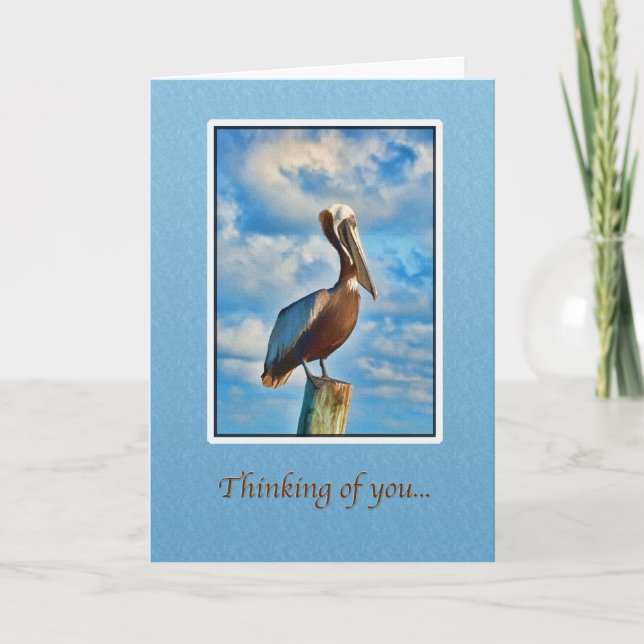 Thinking of You, Brown Pelican Card (Front)