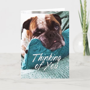 Thinking of You Bulldog Photo Sympathy Card