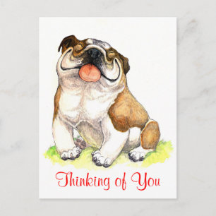 Thinking of You Bulldog Puppy Greeting Postcard