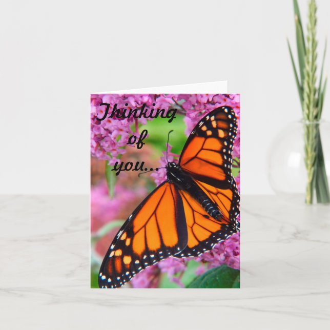 Thinking of you Butterfly Card  (Front)