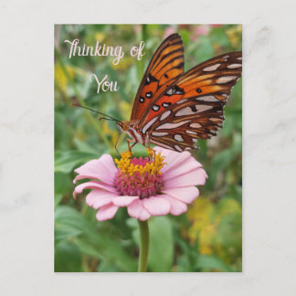 Thinking of You Butterfly Postcard