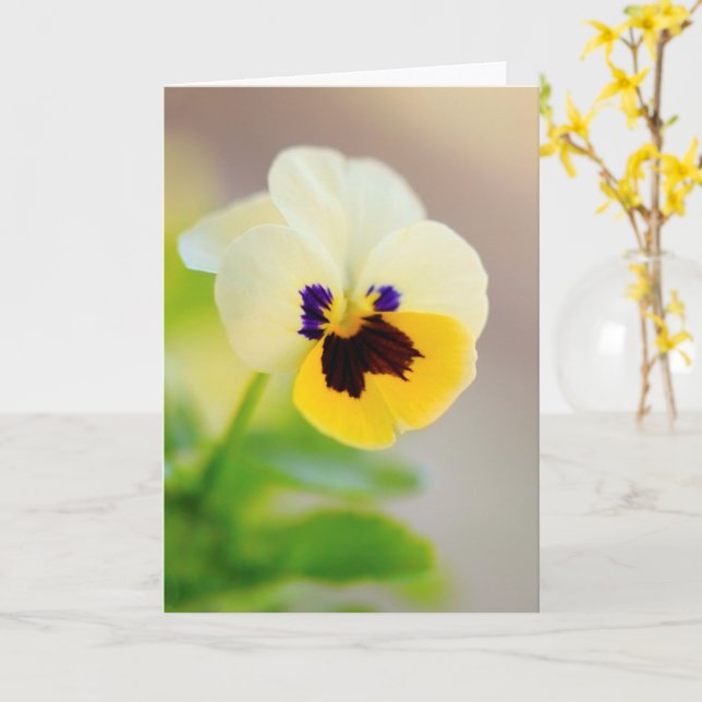 Thinking Of You Cancer Support Card (Yellow Flower)