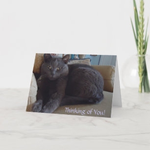 Thinking of You Card