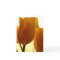 Thinking Of You Card