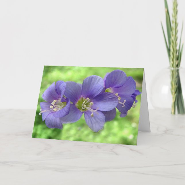 Thinking of you card (Front)