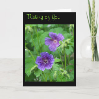 Thinking of You Card