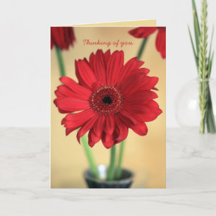 Thinking of you card