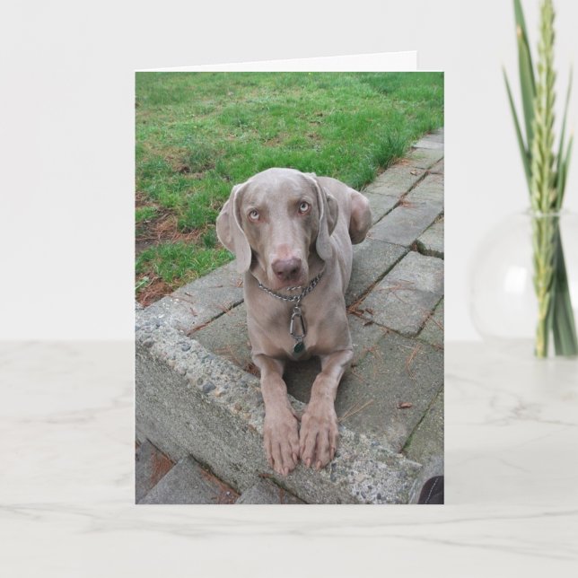 Thinking of you card (Front)