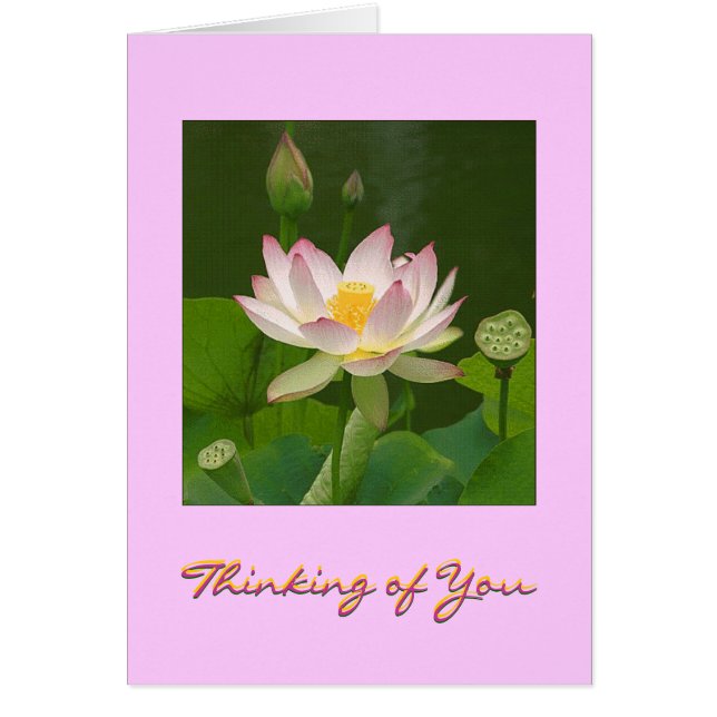 Thinking of You Card (Front)