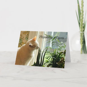 Thinking of you. card