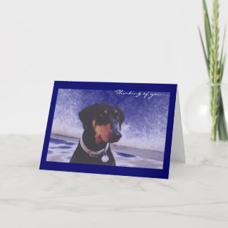 Thinking of you... card