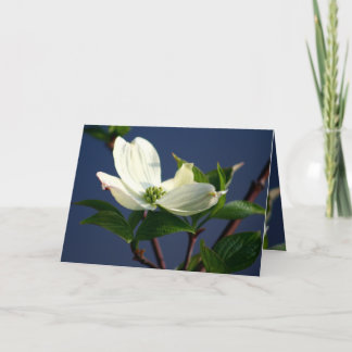 Thinking of you card
