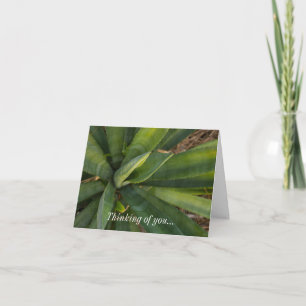 Thinking Of You Card - Aloe Vera