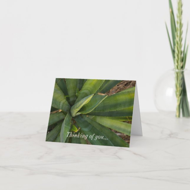 Thinking Of You Card - Aloe Vera (Front)