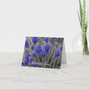 Thinking Of You Card Grape Hyacinths Family Select