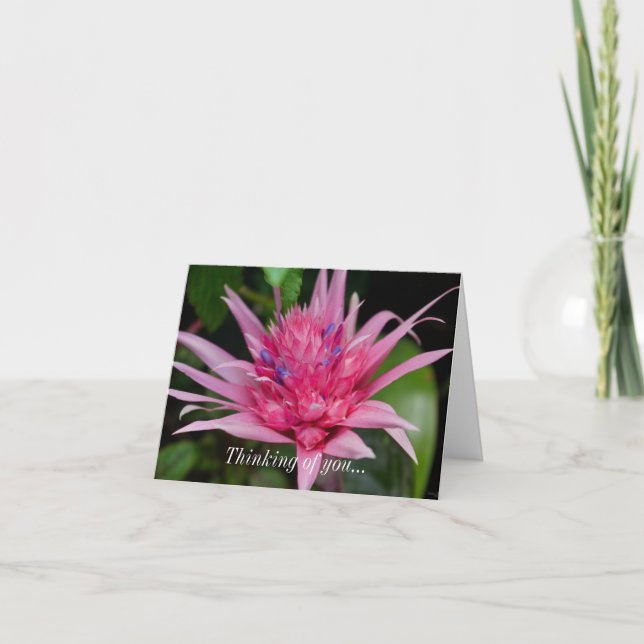 Thinking Of You Card - Pink Beauty (Front)