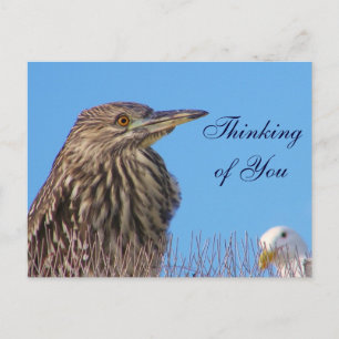 Thinking of you_Card Postcard