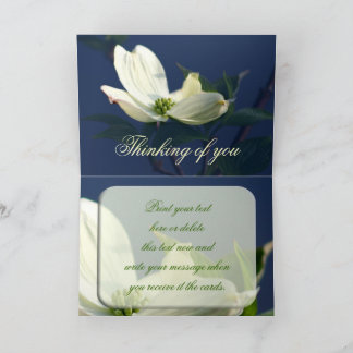 Thinking of You Card Pretty Dogwood Flower Photo