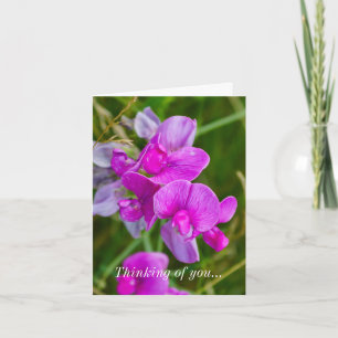 Thinking Of You Card - Purple Orchids