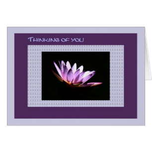 Thinking of You Card Purple Water Lily