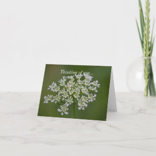 Thinking Of You Card - Queen Anne's Lace