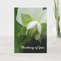 Thinking of You Card template customisable