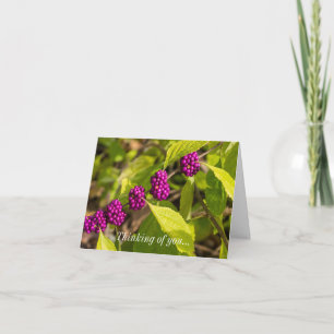 Thinking Of You Card - The American Beautyberry