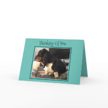 "Thinking Of You" Card W/Cute Basset Hound