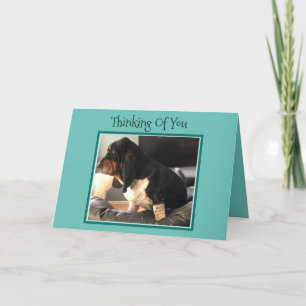 "Thinking Of You" Card W/Cute Basset Hound