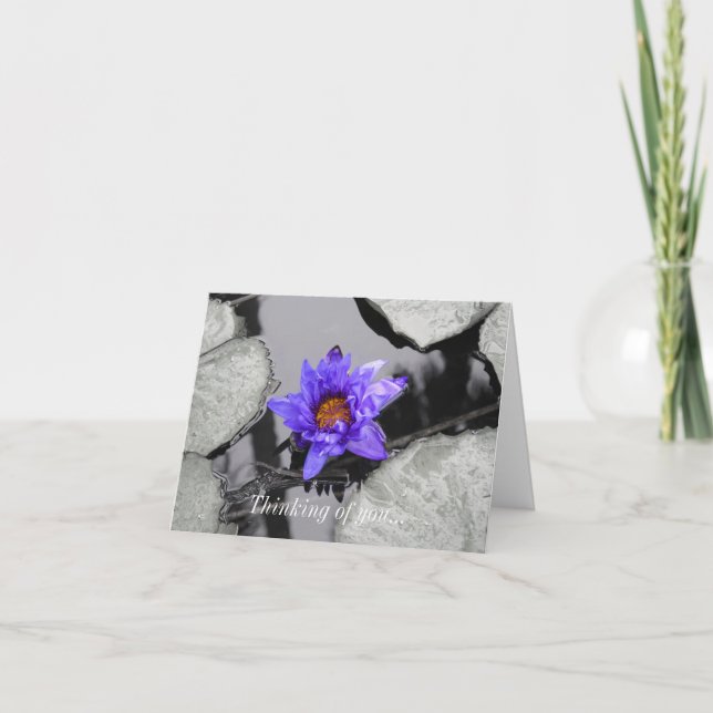 Thinking Of You Card - Water Lily (Front)