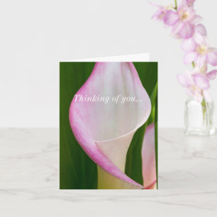 Thinking Of You Card with Calla Pano