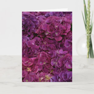 Thinking of you card with pink hydrangea flowers