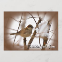 Thinking of You Cards - Brown with Bird
