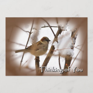 Thinking of You Cards - Brown with Bird