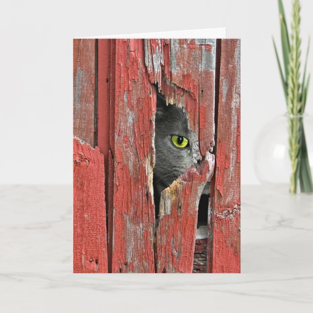 Thinking of You Cat Card (Front)