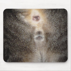 Thinking of you Cat Mousepad