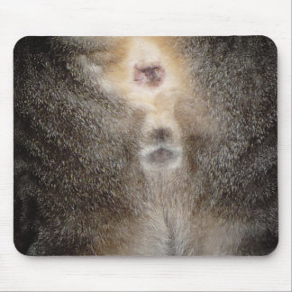 Thinking of you Cat Mousepad