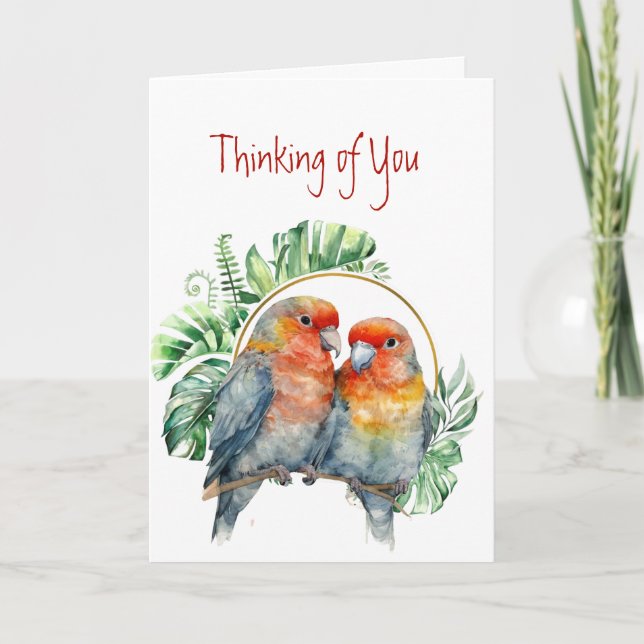 Thinking of You Colourful Parrots Love Birds  Card (Front)