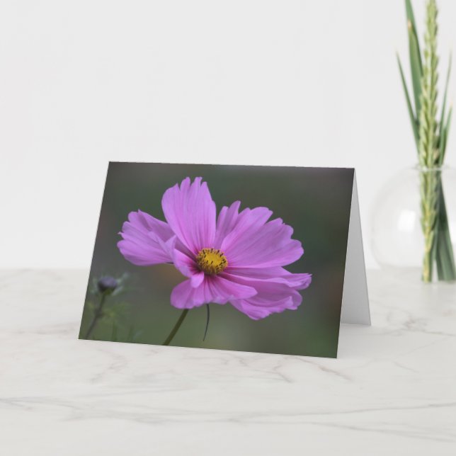 Thinking of You - Cosmos flower Card (Front)